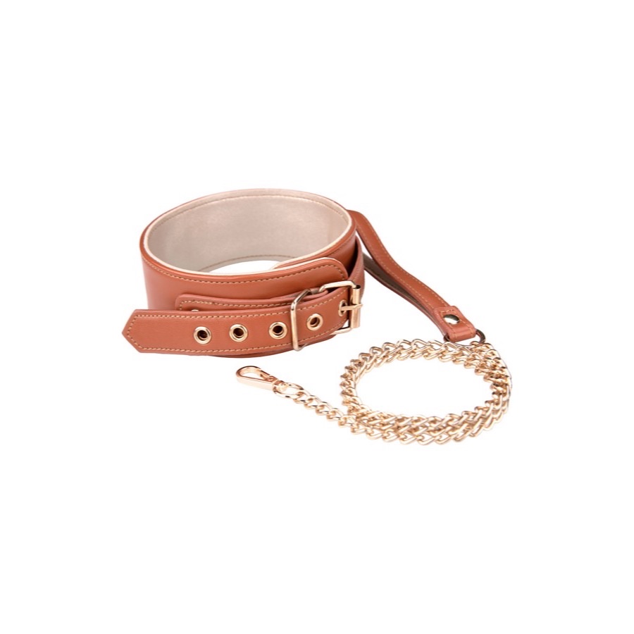 DreamToys Dream Toys Blaze Elite Collar and Leash — produktbild